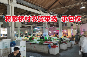 序号01：蒋家桥村农贸菜场的承包权